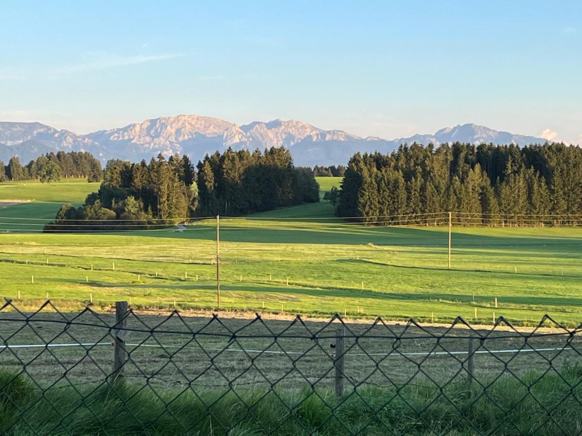Allgaeu Pension "Ab In Den Sueden" 伯拜恩 外观 照片